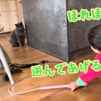 テロップ「ほれほれ～」