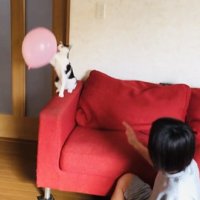 風船でバレーボールをする2人の男の子とハチワレ猫