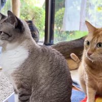 リノちゃんとリクくん