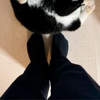 足元で寝転がる猫を見つめる飼い主