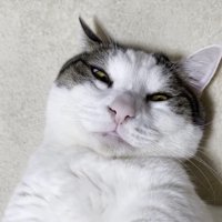 顔のアップ