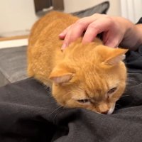 突っ伏す姿