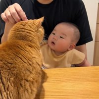 頭をなでなで