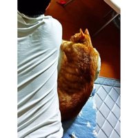 男性と猫