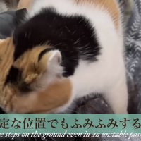 不安定な位置でもふみふみ