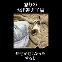 向かってくる姿