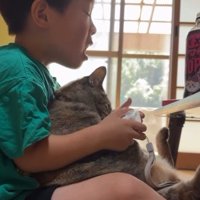 ゲームをしている男の子と猫