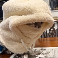 帽子を深くかぶる猫