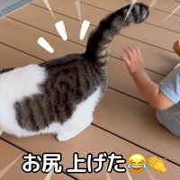 お尻上げた