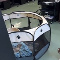 サークルに近づく