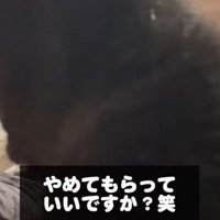 カメラに割り込む黒猫