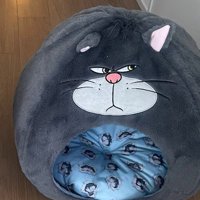 飼い主が猫たちに買ったペットハウス