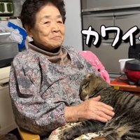 おばあちゃんと猫