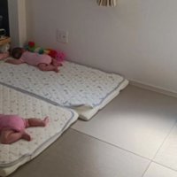 赤ちゃんと猫