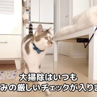 テロップ「大掃除はいつも～」