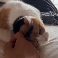 頭を手に