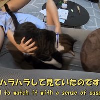 「前はハラハラ...」のテロップ写真