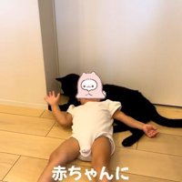 赤ちゃんに乗られている猫