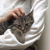 腕に抱かれるアズマくん