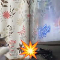 猫パンチする猫