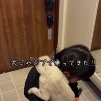 抱っこされてもがく猫