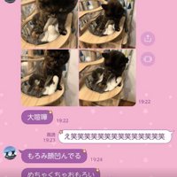 LINEのスクショ写真あり