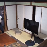 猫を抱っこしてステップを踏む男性2