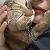 くっついている飼い主と猫