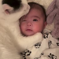 赤ちゃんと猫