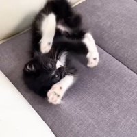 ひっくり返って