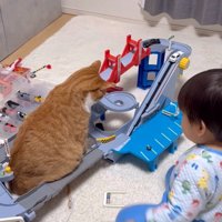 勢いよく坂を下る車