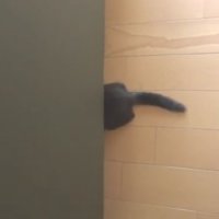 ソファからみえるおしり