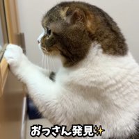 おっさん発見