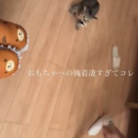 「おもちゃへの執着凄すぎてコレ」のテロップ写真2