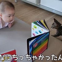 テロップ「こんなに～」