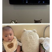 赤ちゃんと猫