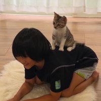 女の子の背中の上に乗る子猫