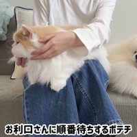 順番待ちするポテチくん