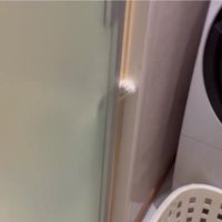 脱衣所と猫の手