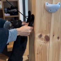 柱に前足を置く猫