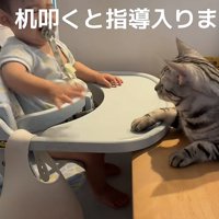 赤ちゃんと猫の写真5