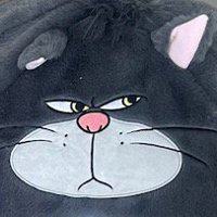 ペットハウスの猫の顔