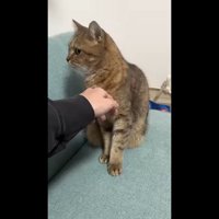 そっぽを向いて