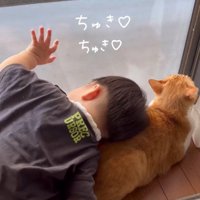 猫にスリスリする赤ちゃん