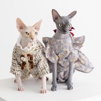 写真を撮る2匹の猫