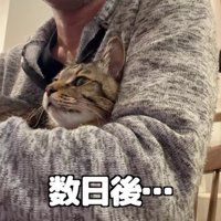 とーちゃんの腕に包まれる百太さん2