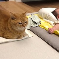 赤ちゃんの隣で寛ぎ中