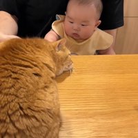 身を低くして