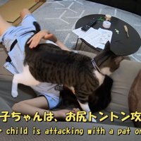 「下の子ちゃんは...」のテロップ写真