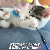テロップ「お目覚めのようなので～」